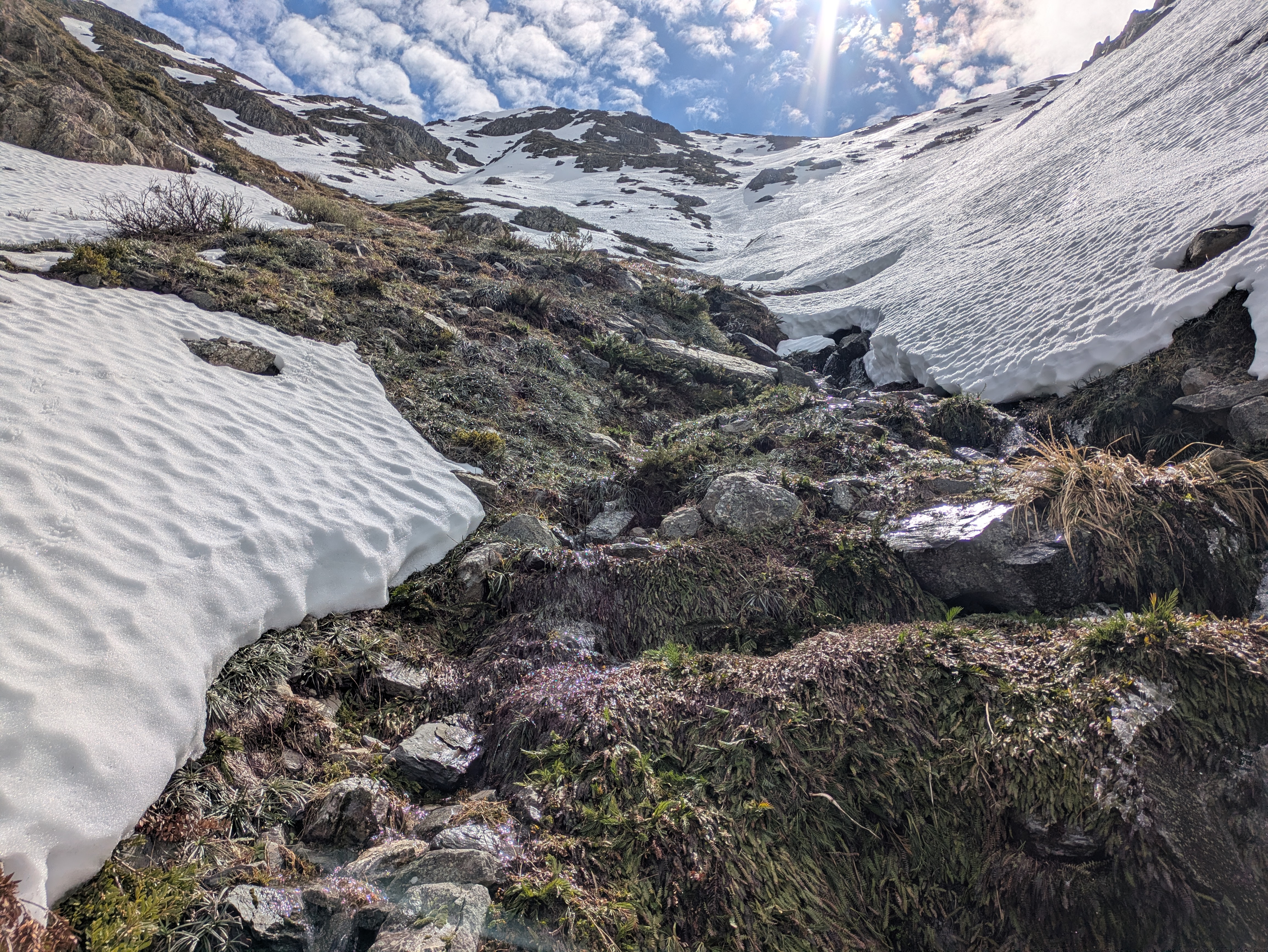 Tom Eisner - 10 Sept 2026 Article Hellfire Gully, Mt Feathertop. Headwaters of the West Kiewa River.